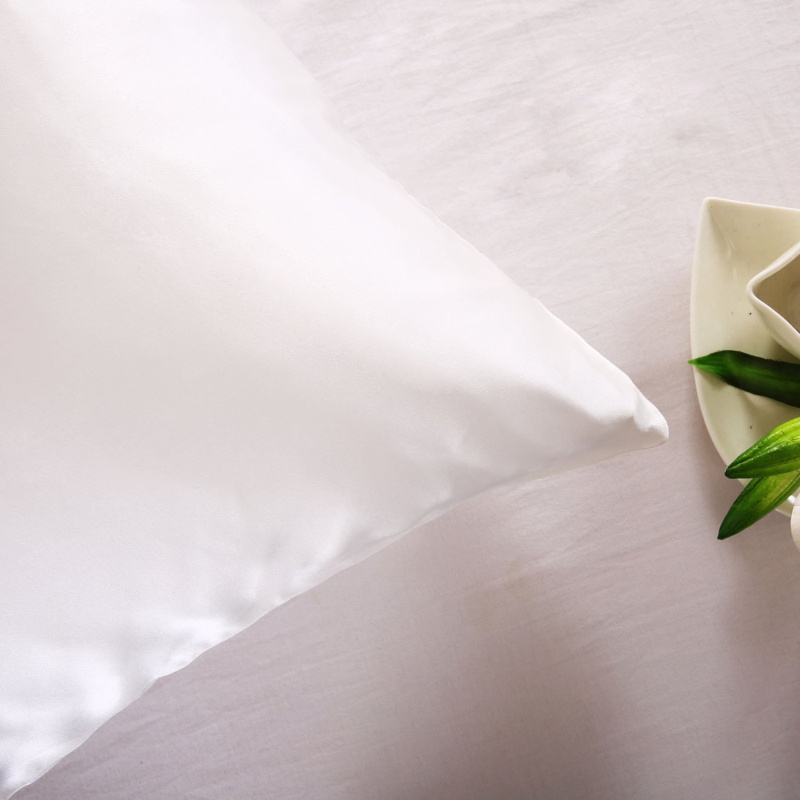 100% Nature Mulberry Silk Pill - Silk Pillowcase 评论和价格